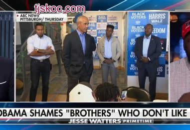 Jesse Watters Ask Tommy Sotomayor Will Barack Obama Going Off On Black Men Work To Force Support For Kamala Harris? (Video)