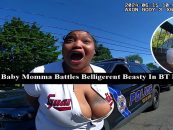 Belligerent, Bad Built, Big Breasted, BT-1000 Beating Up New Baby Momma Over Ex-Bad Boy Baby Daddy! (Live Broadcast)