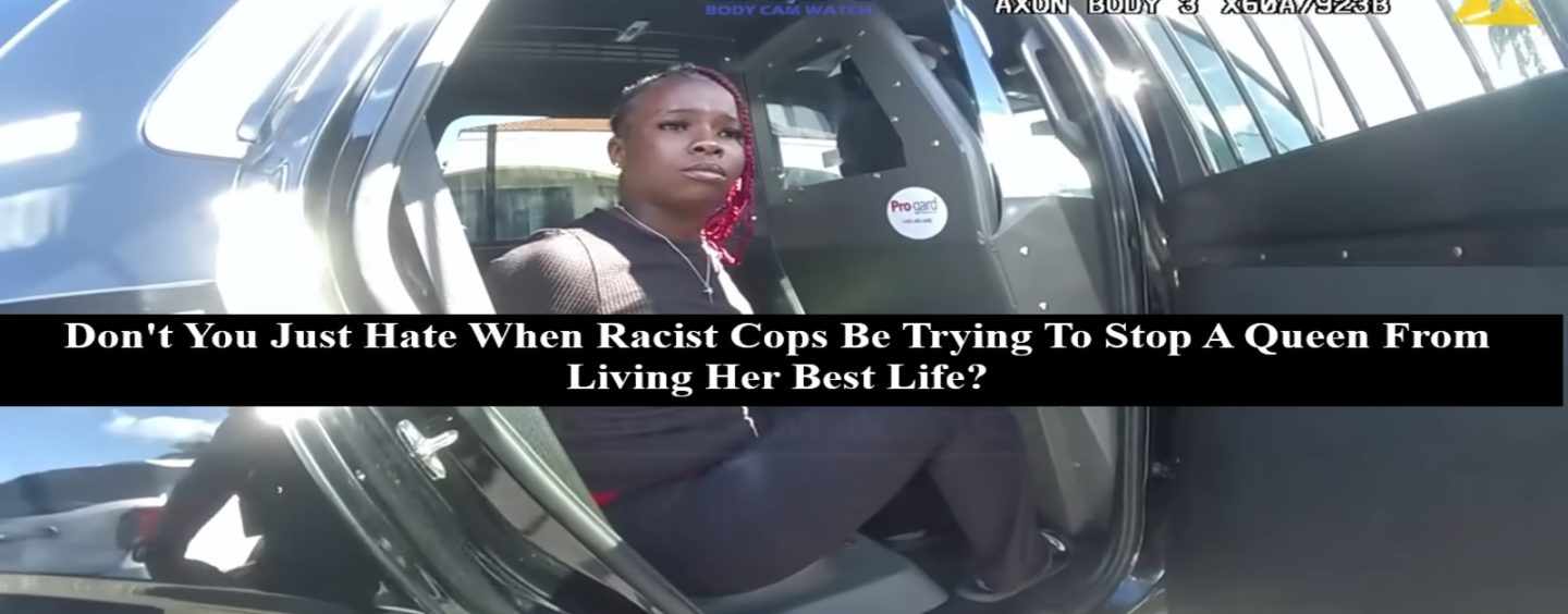 I’m A Black Mom Of 2 & Tired Of Racist White Cops Harassing Me While I Am Peacefully Trying To Steal! (Live Broadcast)