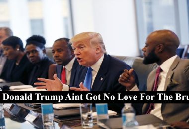 Should Blacks Be Upset That Donald Trump Has Picked No Blacks For His Cabinet? (Live Twitter Space)