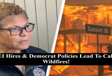 Did DEI Hires, LGBTQ & Democrat Policies Lead To The Hellscape Wildfires In California? (Live Broadcast)